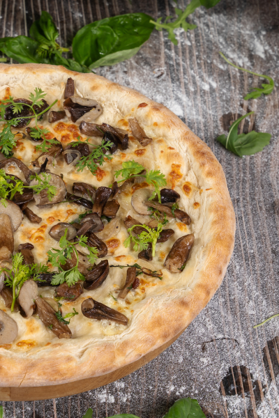 DAVID MEDIA - CAMIA FB_-388 (1)